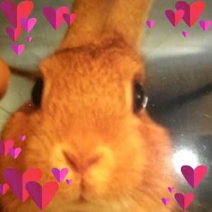 Meet your Posher, Tracey